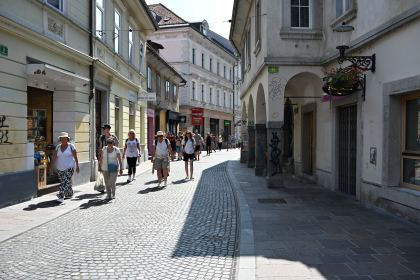 DSC_3667.JPG