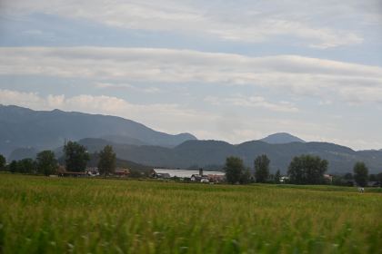 DSC_3672.JPG