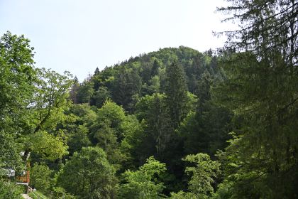 DSC_3682.JPG