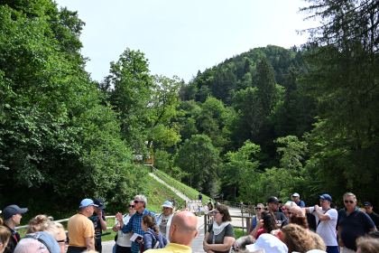 DSC_3683.JPG