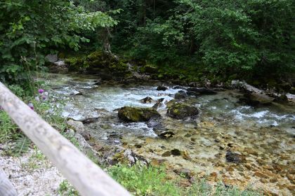 DSC_3687.JPG