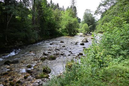 DSC_3689.JPG