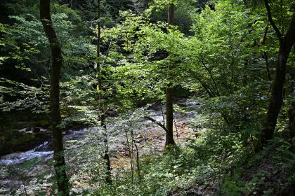 DSC_3695.JPG