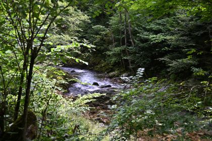 DSC_3697.JPG