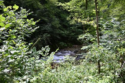 DSC_3698.JPG