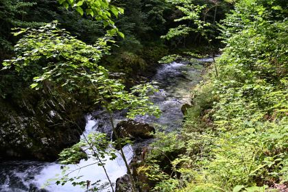 DSC_3700.JPG