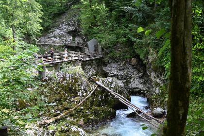 DSC_3701.JPG