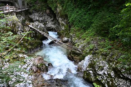 DSC_3702.JPG