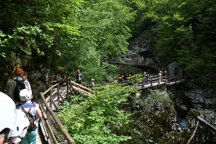 DSC_3705.JPG