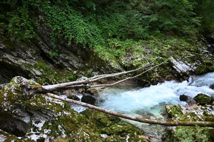 DSC_3709.JPG