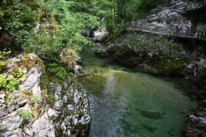 DSC_3714.JPG