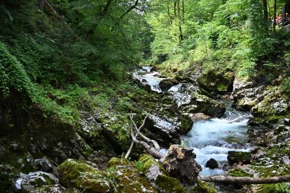 DSC_3716.JPG