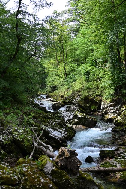 DSC_3717.JPG