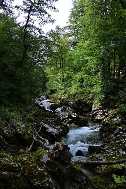DSC_3718.JPG