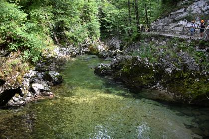 DSC_3720.JPG