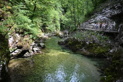DSC_3721.JPG