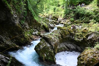 DSC_3724.JPG