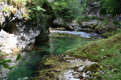DSC_3749.JPG