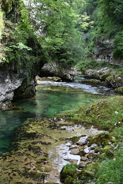 DSC_3750.JPG