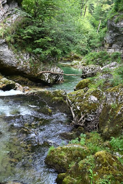 DSC_3757.JPG