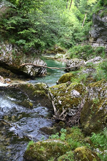 DSC_3758.JPG
