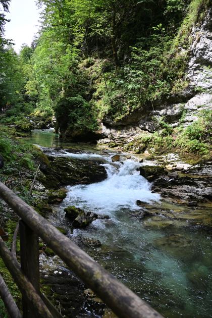 DSC_3768.JPG
