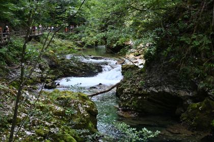 DSC_3774.JPG