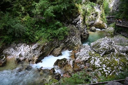 DSC_3789.JPG