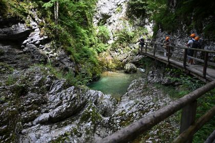 DSC_3791.JPG