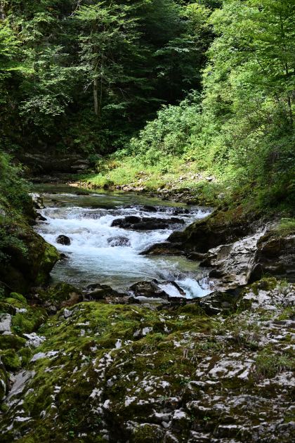 DSC_3794.JPG