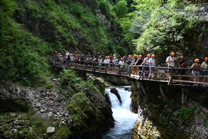 DSC_3834.JPG