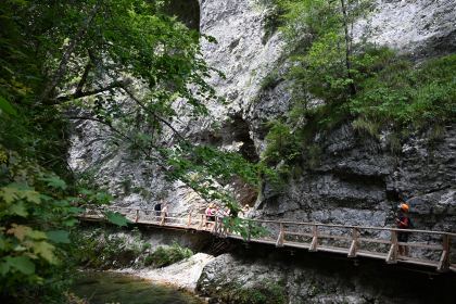 DSC_3866.JPG