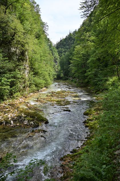 DSC_3874.JPG