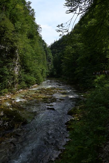 DSC_3876.JPG