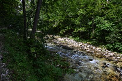DSC_3877.JPG