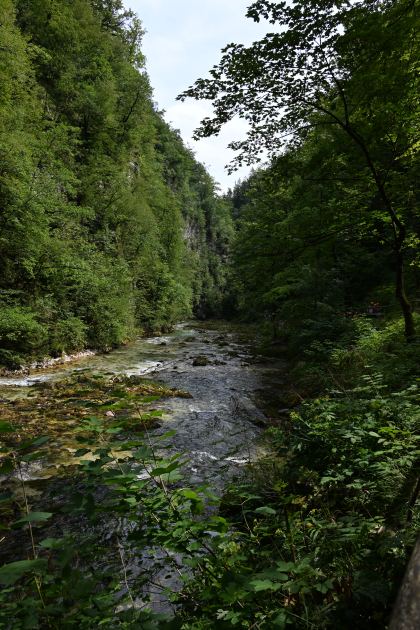 DSC_3878.JPG