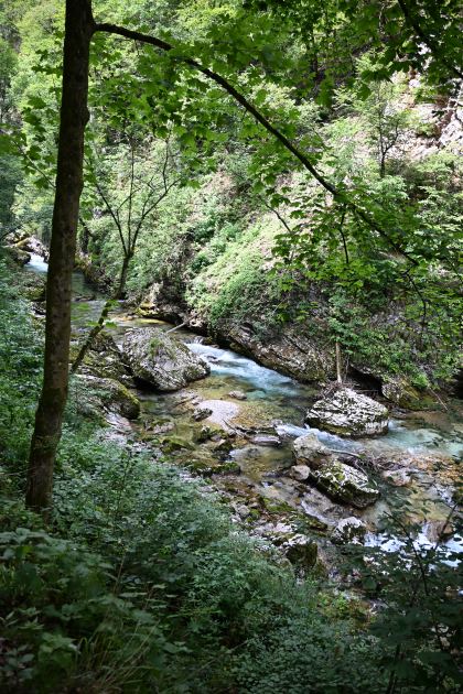 DSC_3927.JPG