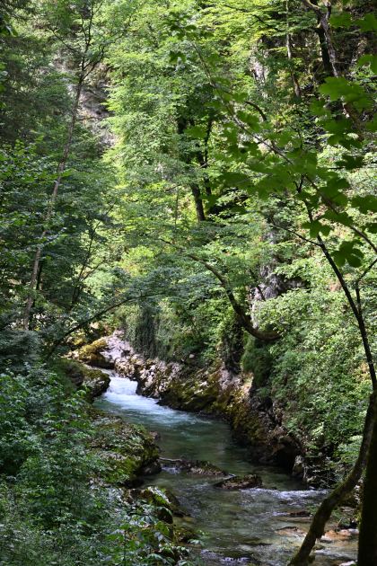 DSC_3929.JPG