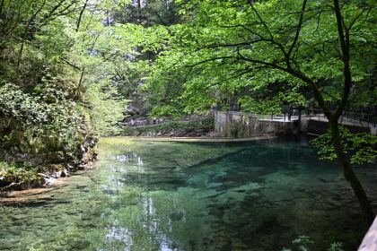 DSC_3937.JPG