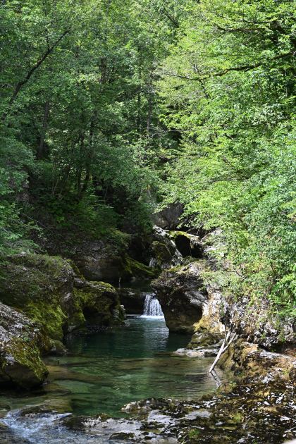 DSC_3963.JPG