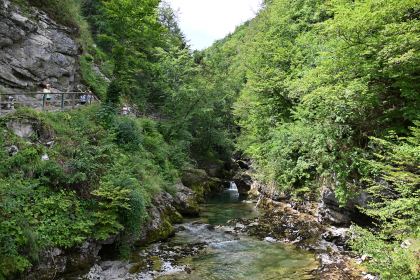 DSC_3968.JPG