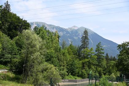 DSC_3984.JPG