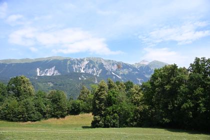 DSC_4013.JPG