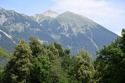 DSC_4020.JPG