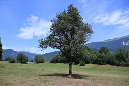DSC_4043.JPG