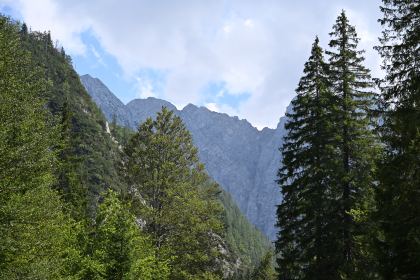 DSC_4061.JPG