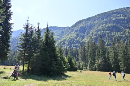 DSC_4110.JPG