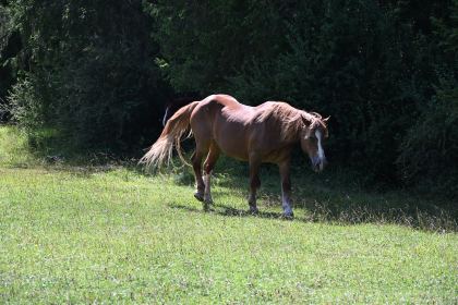 DSC_4117.JPG