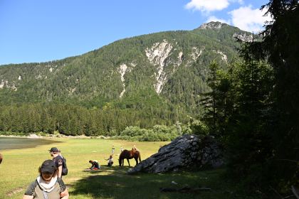 DSC_4133.JPG