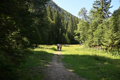 DSC_4134.JPG